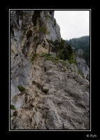 080614 - Le pas du Roc  - b080614 - 8392